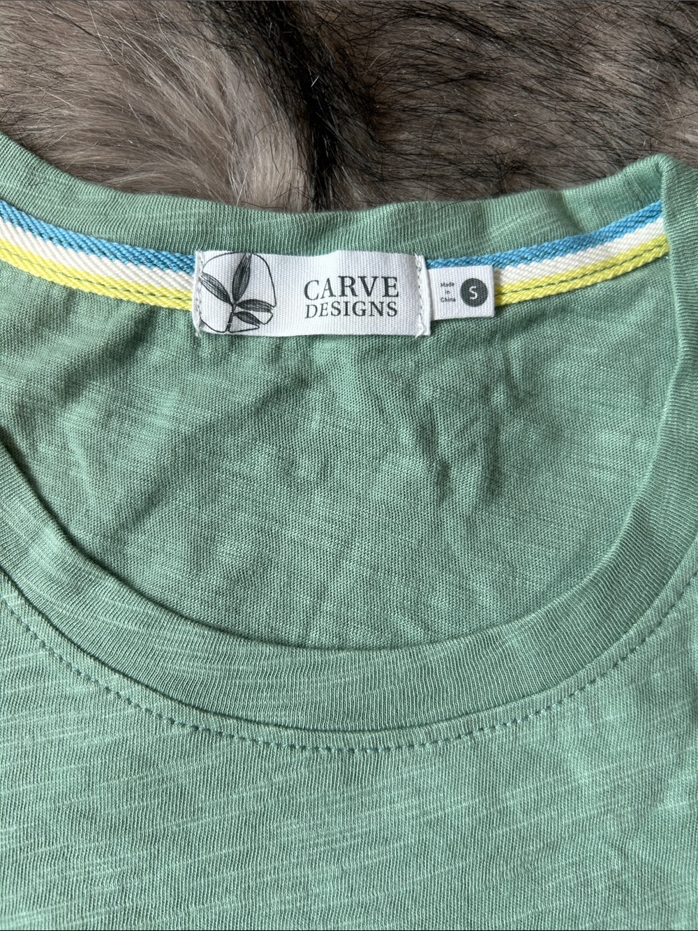 NEW Carve Designs Cassidy Graphic Tee Light Cilantro Rockies Organic Cotton S - Picture 6 of 9